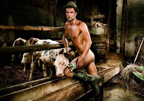 Monday Morning Meat #53 @ Pengovsky.com mmm53 Monday Morning Meat #53